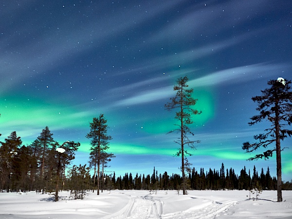 Nordlichter in Finnland #3