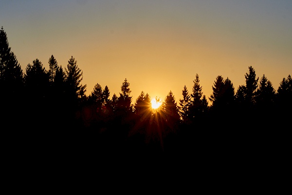 Untergehende Sonne im Harz