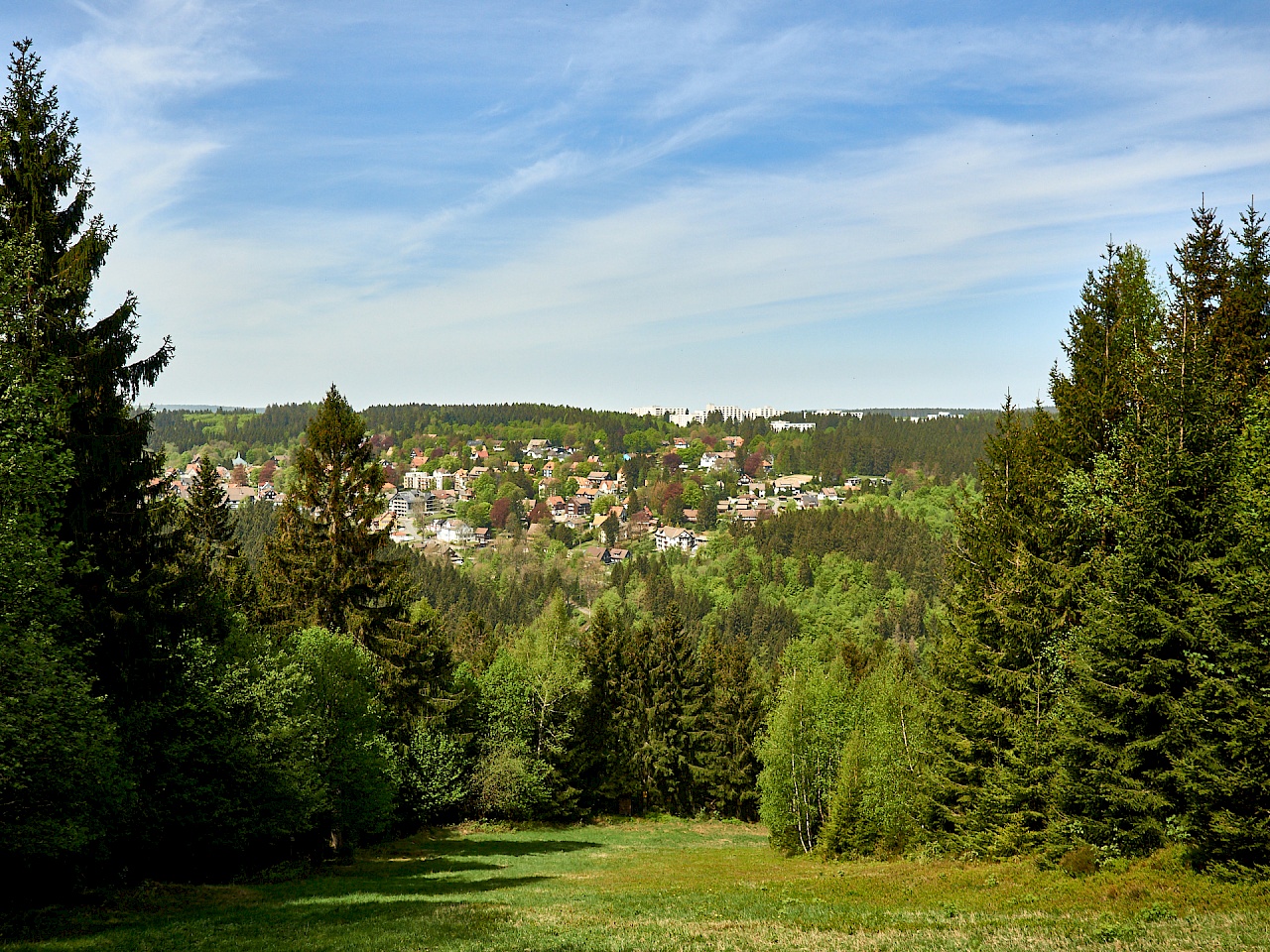 Ausblick in das Harzvorland auf dem Liebesbankweg