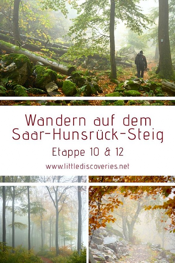 Pin für Pinterest - Wandern auf dem Saar-Hunsrück-Steig