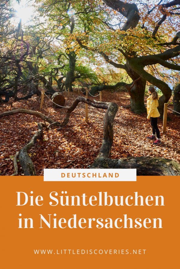 Pin für den Artikel zu den Süntelbuchen in Bad Nenndorf (Niedersachsen)
