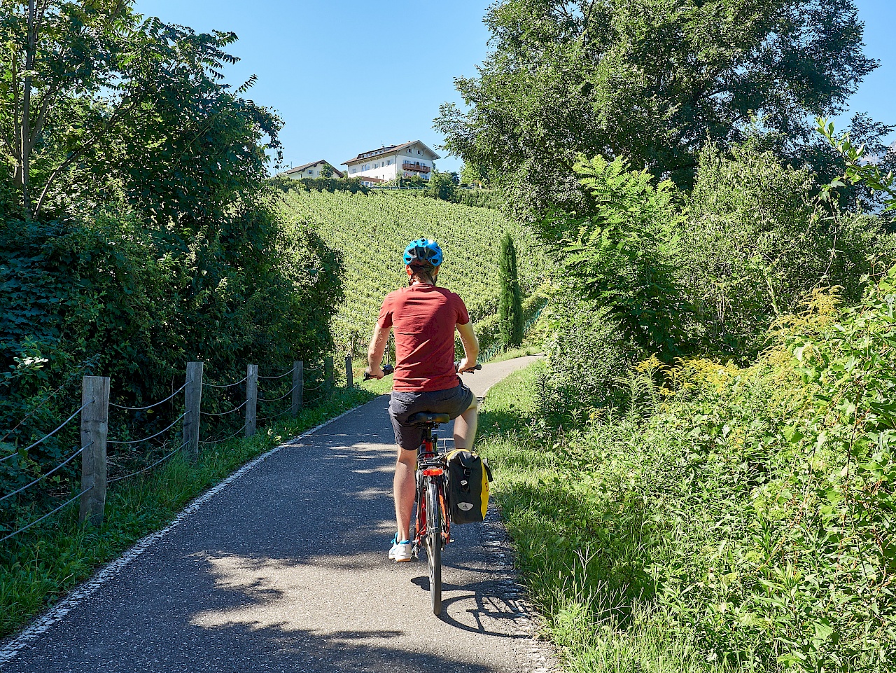 Radtour vorbei an Weinanbaugebieten nach Bozen