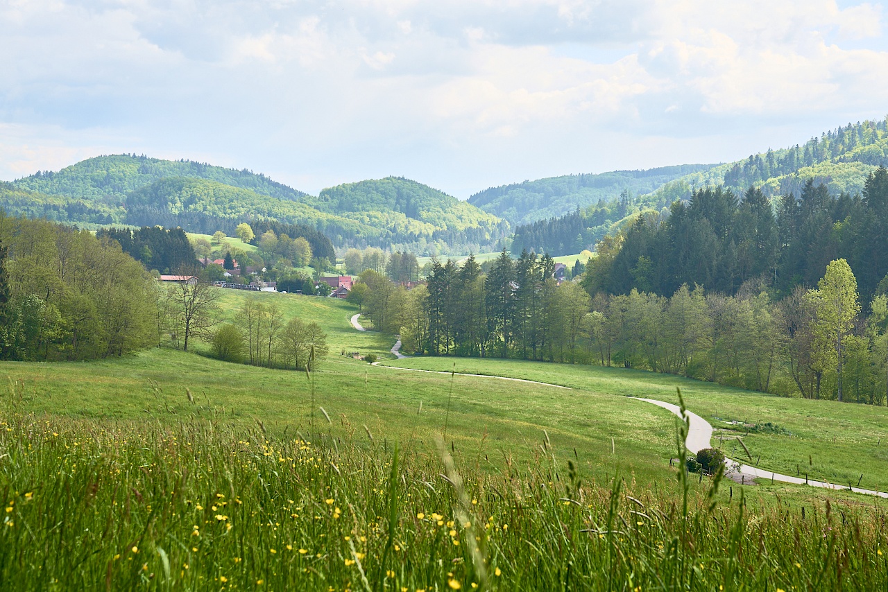 Wanderweg zur Höllschlucht im Schwarzwald