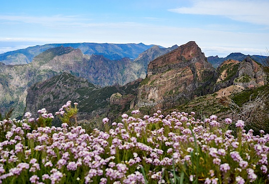 p5130791-pico_do_arierio-madeira-little-discoveries_net.jpg