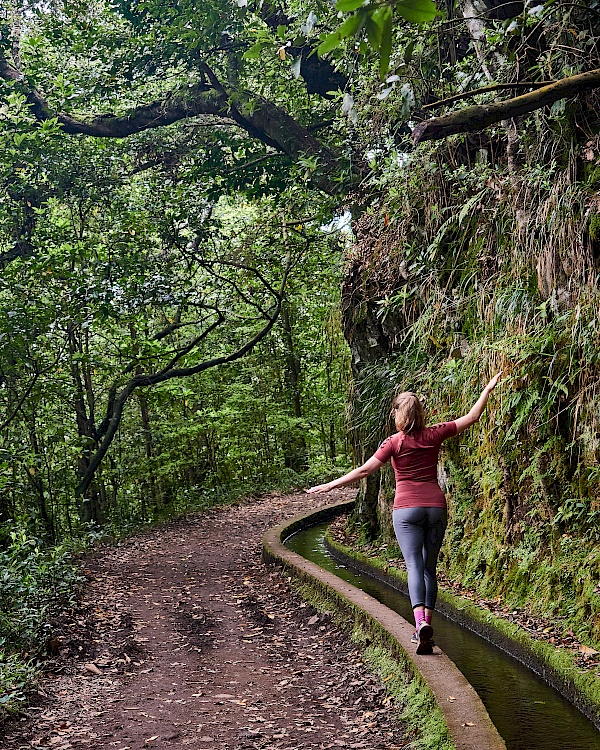Wanderung entlang der Levada do Rei (Madeira)