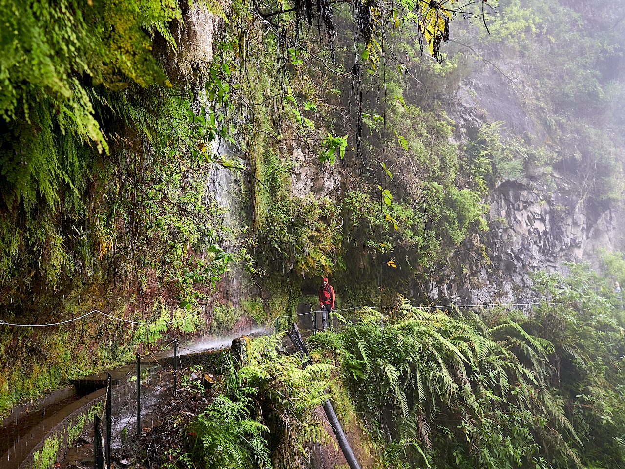 Wanderung hinter einem Wasserfall entlang - Levada do Rei (Madeira)