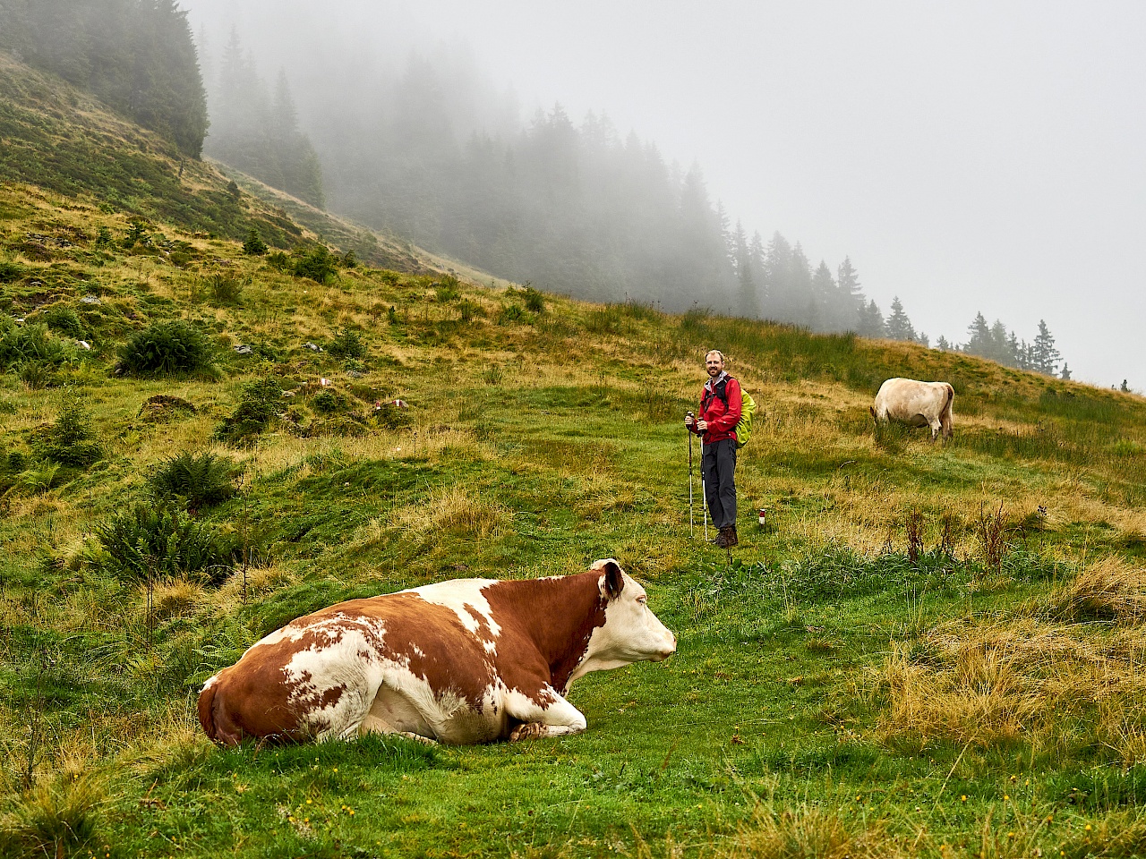 KAT Walk Etappe 4 – von Aschau nach Kitzbühel