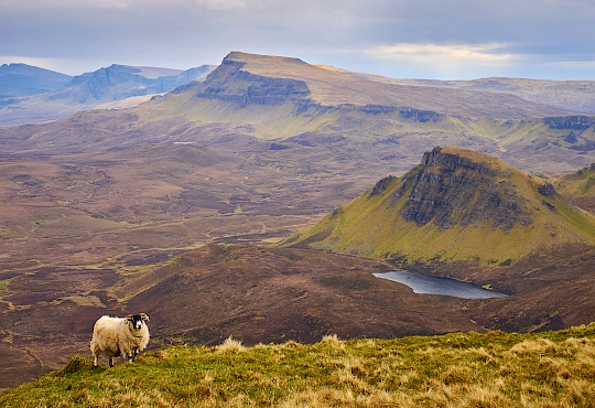 p5051724-quiraing-schottland-littlediscoveries_net.jpg