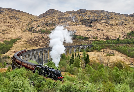 p5041293-glenfinnan-viaduct-schottland-littlediscoveries_net.jpg