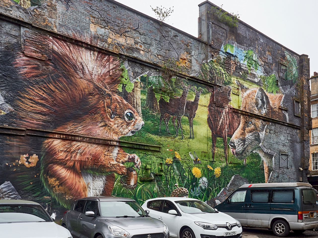 Street Art in Glasgow - Fellow Glasgow Residents (Smug)