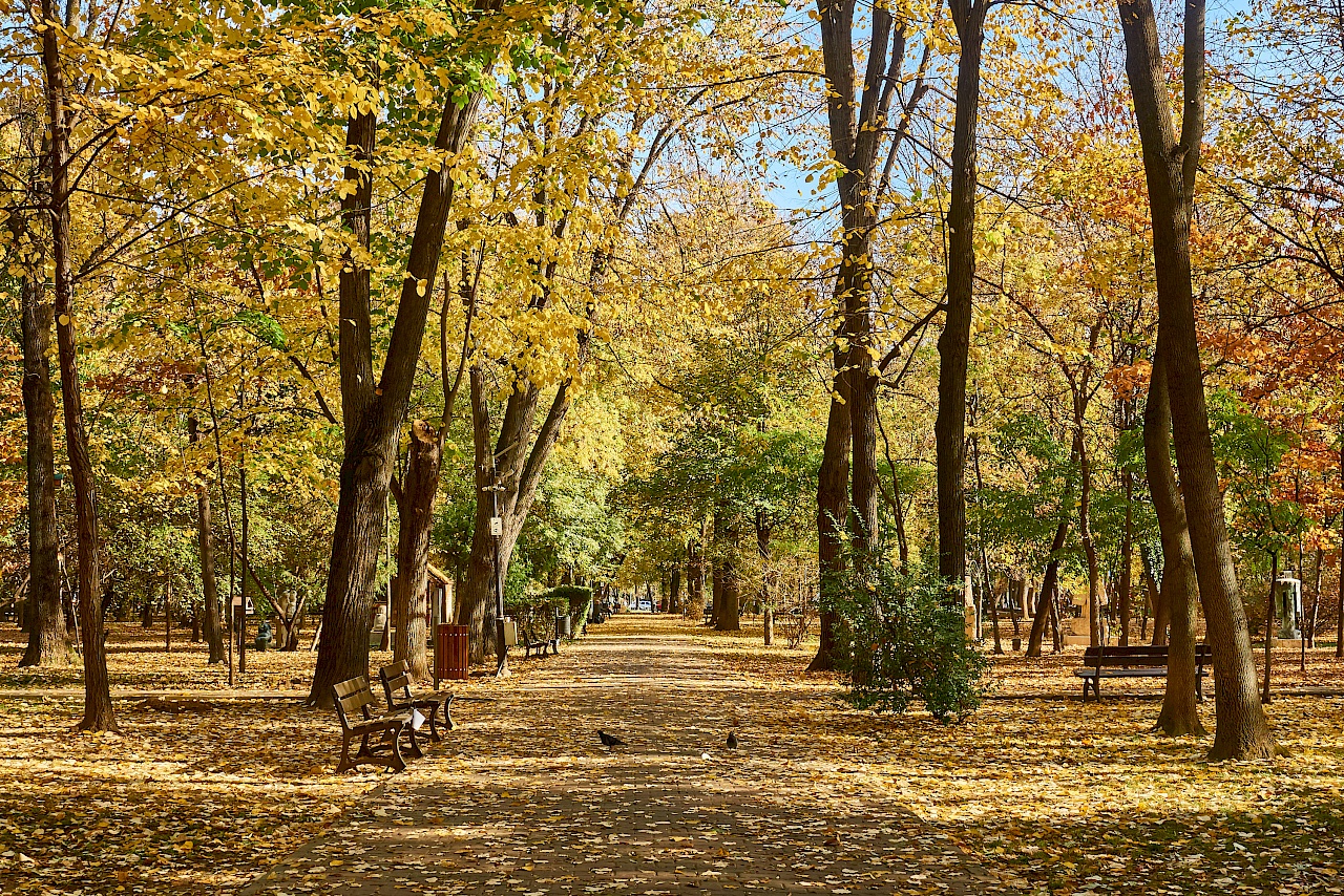 Herastrau Park in Bukarest (Rumänien)
