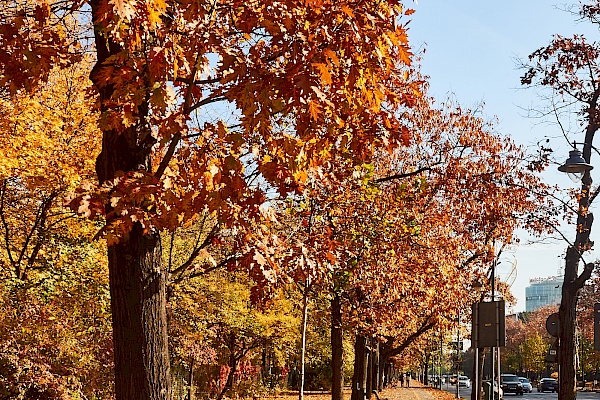 Parks in Bukarest (Rumänien)