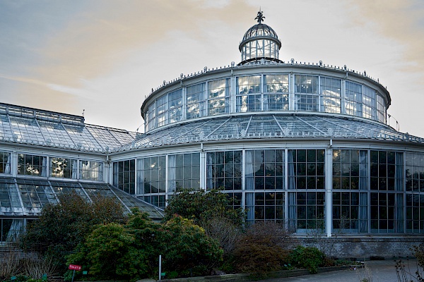 Das Palmenhaus im Botanischen Garten in Kopenhagen