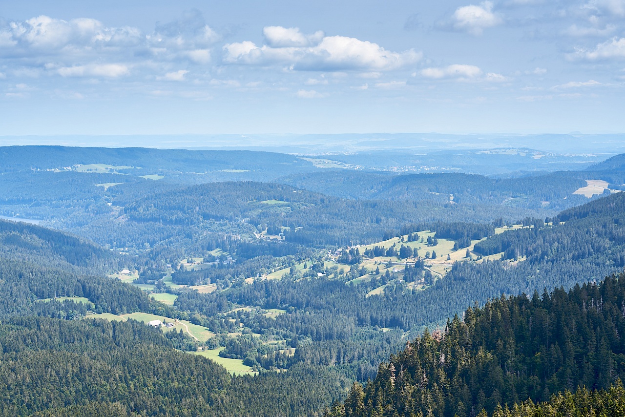 Die wunderschöne Aussicht vom Feldberg
