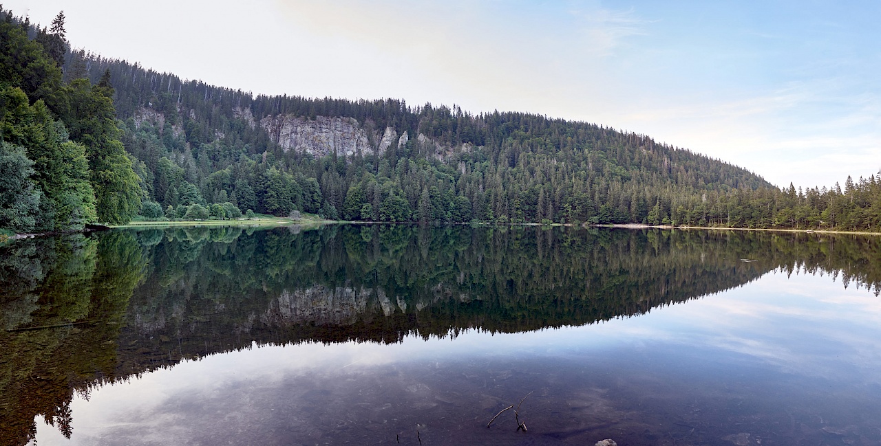 Der Feldsee im Südschwarzwald