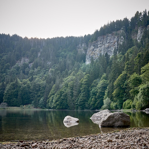 Der Feldsee im Schwarzwald