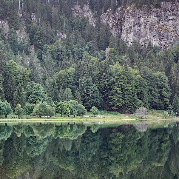 Wie ein Spiegelsee - der Feldsee im Schwarzwald