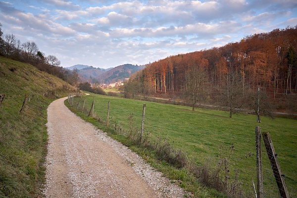 Spaziergang von Kandern nach Sitzenkirch