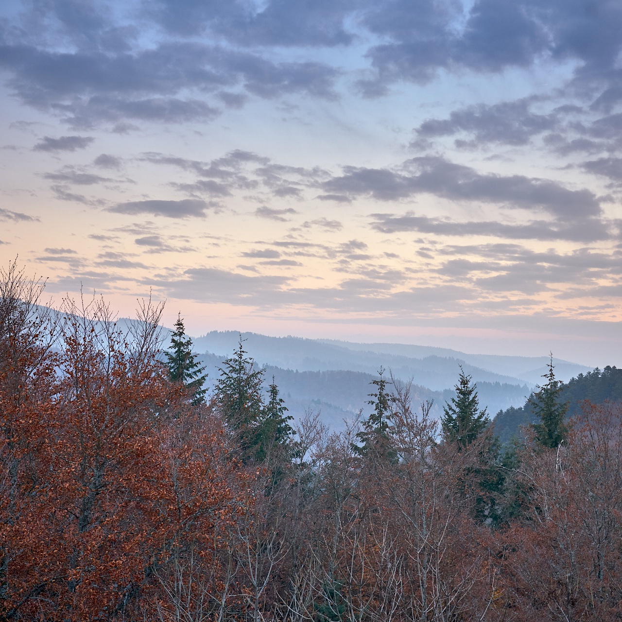 Blick von Schloss Bürgeln in den Schwarzwald