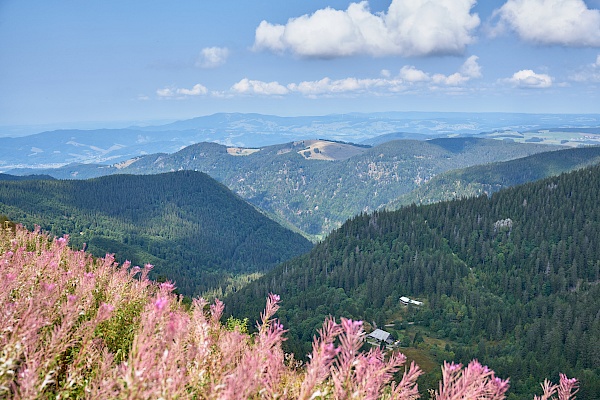 Die wunderschöne Aussicht vom Feldberg