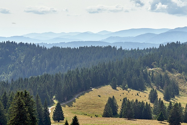 Die wunderschöne Aussicht vom Feldberg