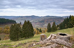 dsc09984-oberblauen-basler-jura.jpg