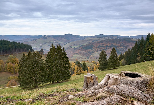 dsc09984-oberblauen-basler-jura.jpg