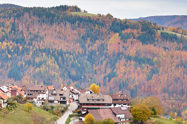 Blick auf Pfaffenberg