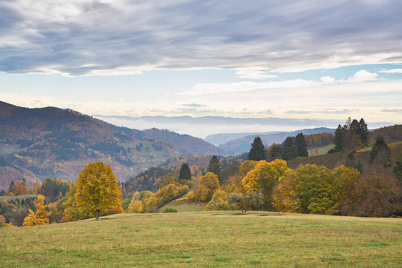 Blick vom Parkplatz Zimmerplatz