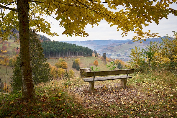 Panoramwanderweg im Schwarzwald