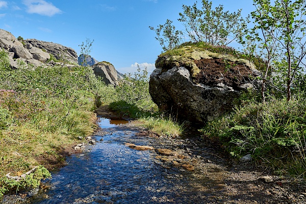 Nasse Wege nach Nusfjord