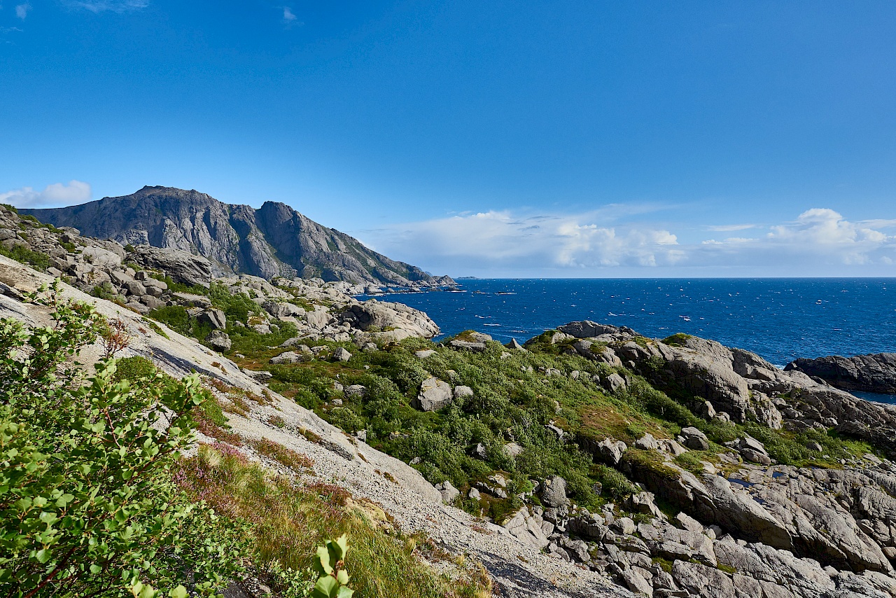 Felsbrocken über die man klettern muss auf dem Weg nach Nusfjord