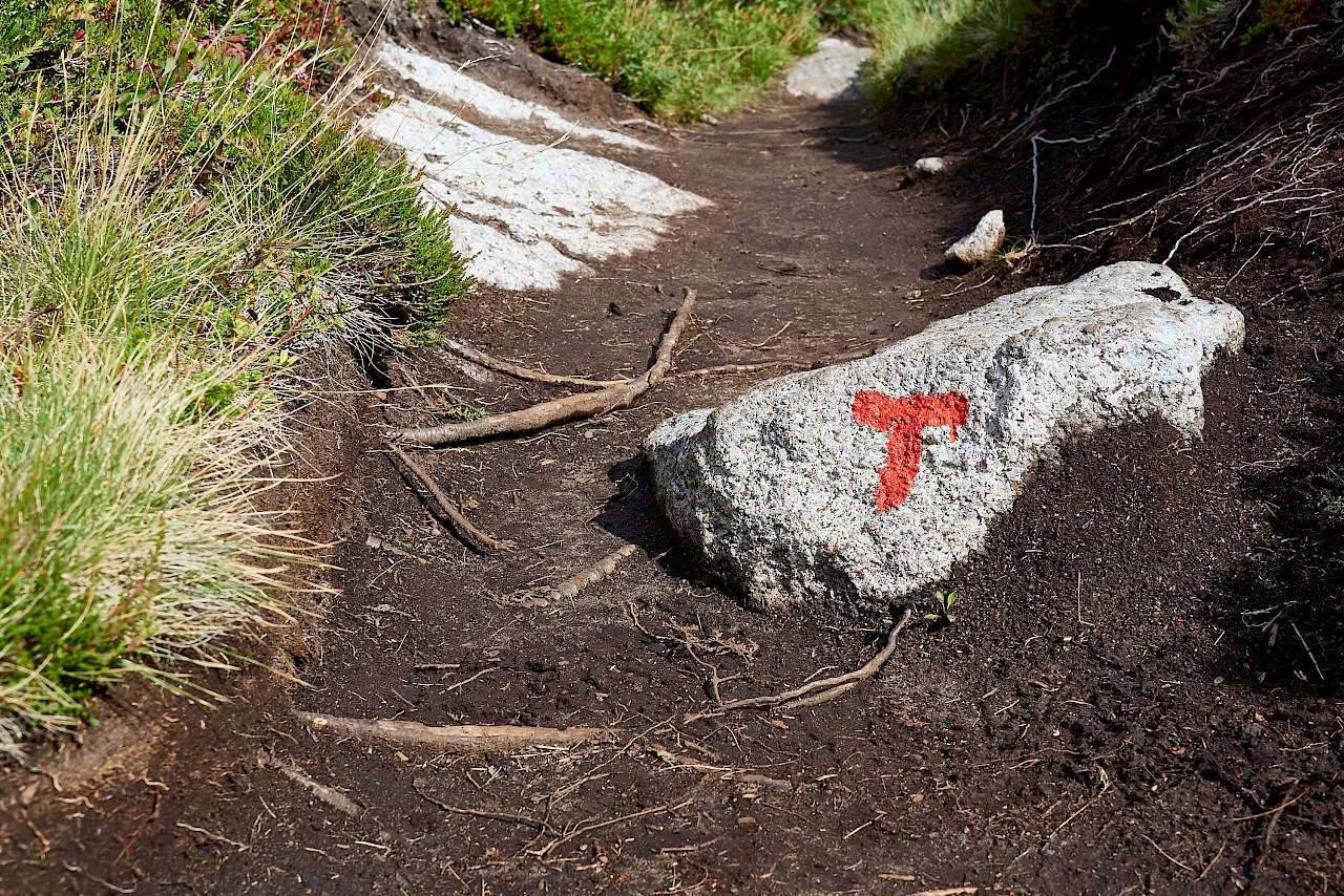 Gekennzeichnete Steine geben den Weg nach Nusfjord an
