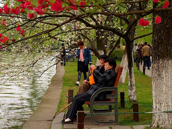 Im Frühling am Westsee