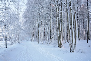 Winterlandschaft in der Rhön