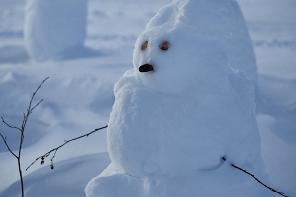 Schneemann in Lappland bauen