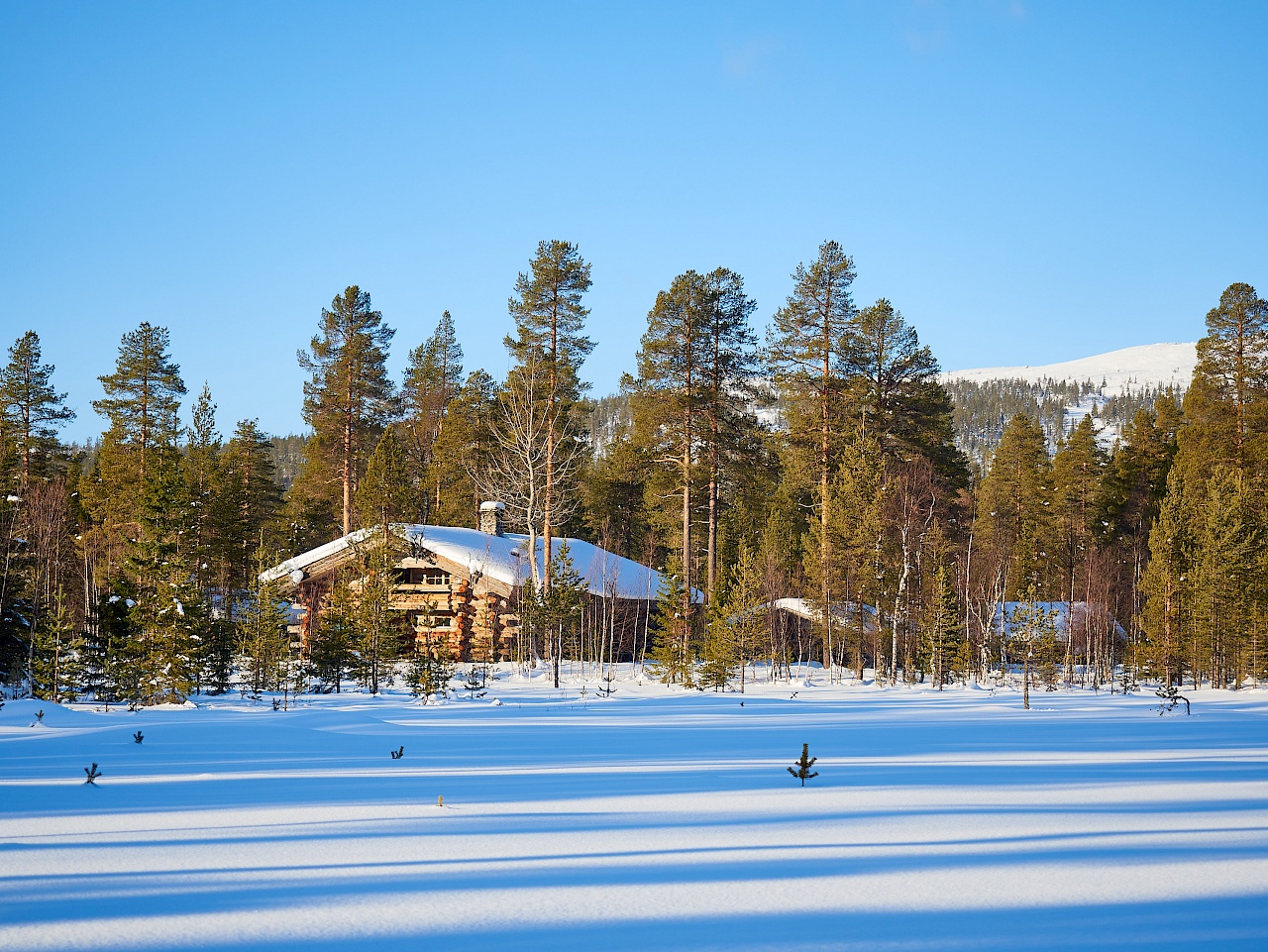 Winterzauber in Lappland