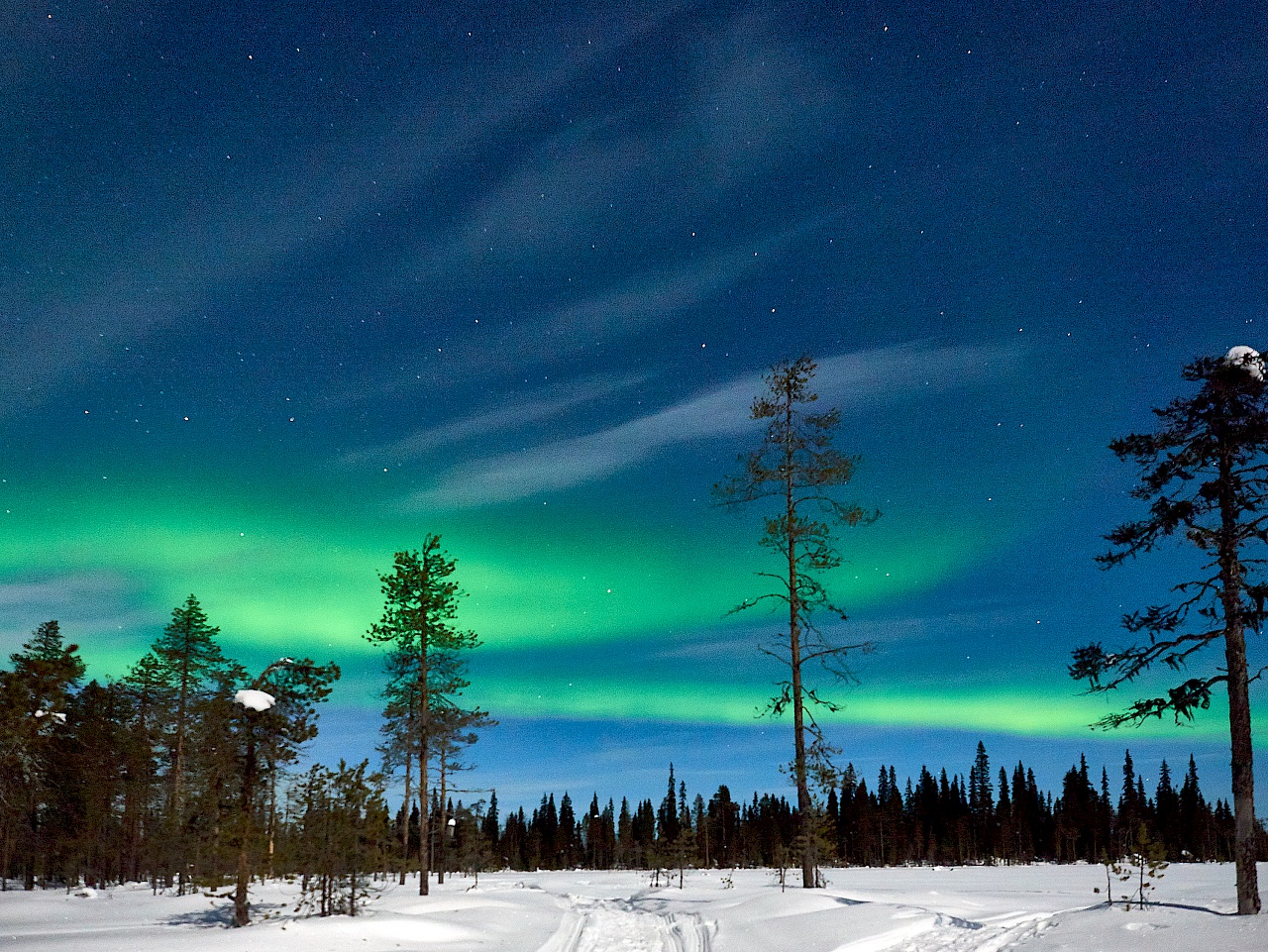 Nordlicht in Lappland #1