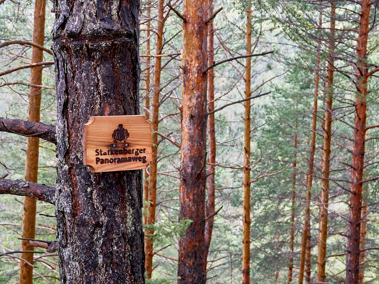 Wegweiser aus Holz auf dem Starkenberger Panoramaweg