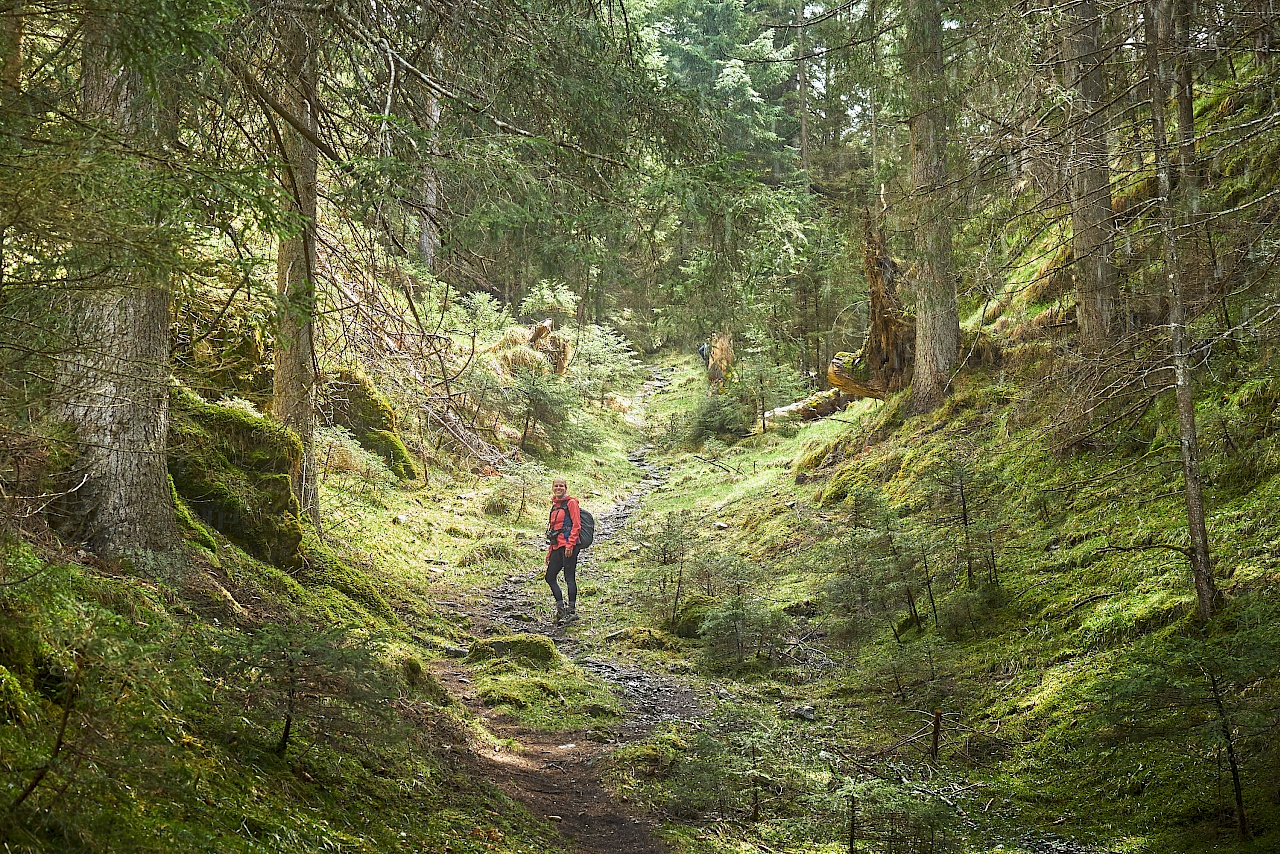 Bergauf nach Hoch-Imst