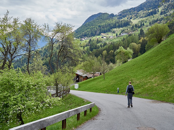 Auf dem Weg nach Obsaurs