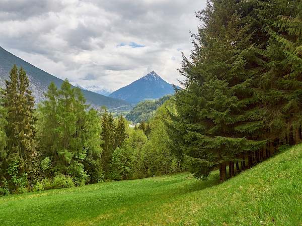 Natur genießen