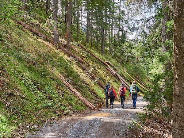 Wandern auf dem Starkenberger Panoramaweg - Etappe 6