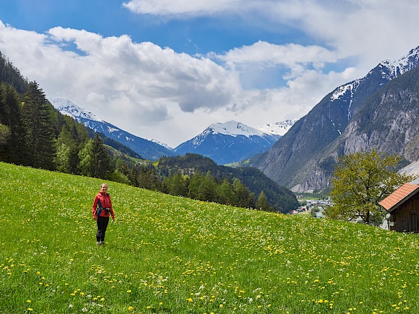 Wiesen- und Bergpanorama