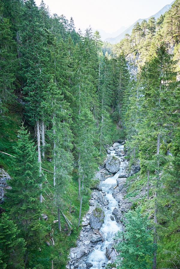 Die Salvesenschlucht