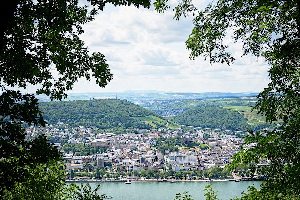 Blick auf Bingen