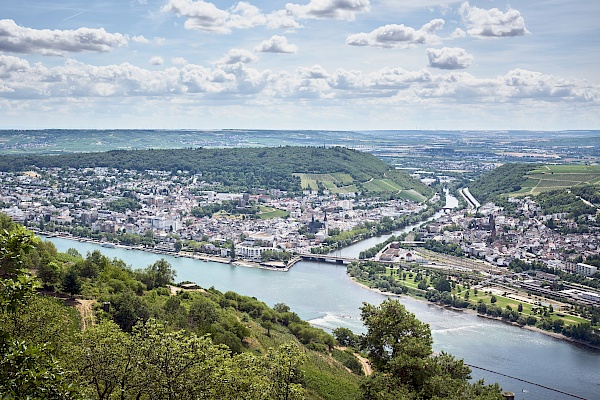 Blick auf Bingen