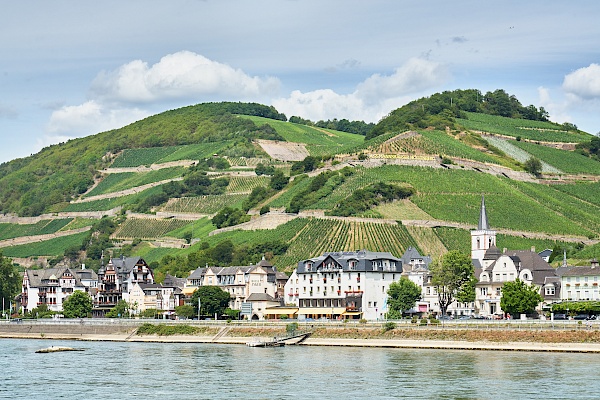 Blick auf den Assmannshäuser Höllenberg