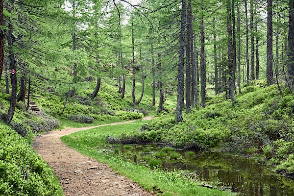 Wanderung durch das Ossolatal