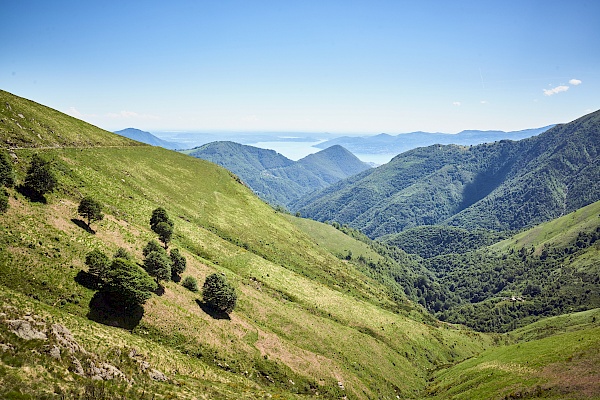 Panoramablick auf den Lago Maggiore von der Linea Cadorna